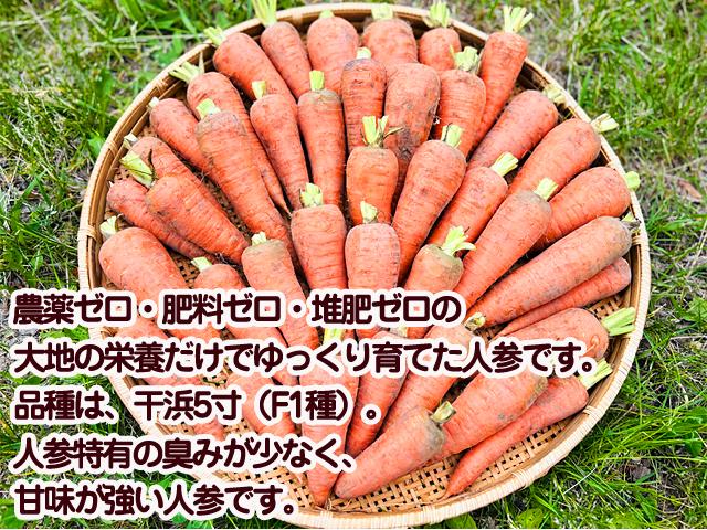 自然栽培の野菜を宅配する倶楽部大地