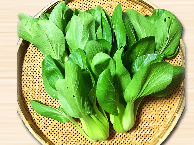 農薬不使用･無堆肥･無肥料自然栽培チンゲン菜