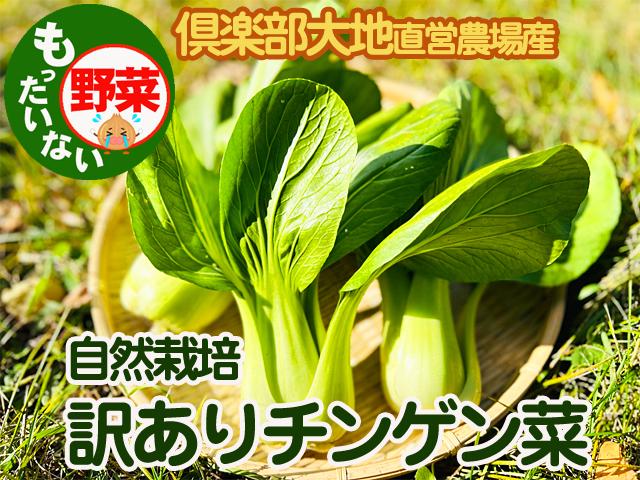 農薬不使用･無堆肥･無肥料自然栽培チンゲン菜