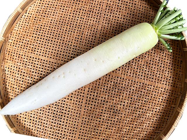 農薬不使用･無堆肥･無肥料よっちゃんの自然栽培夏大根