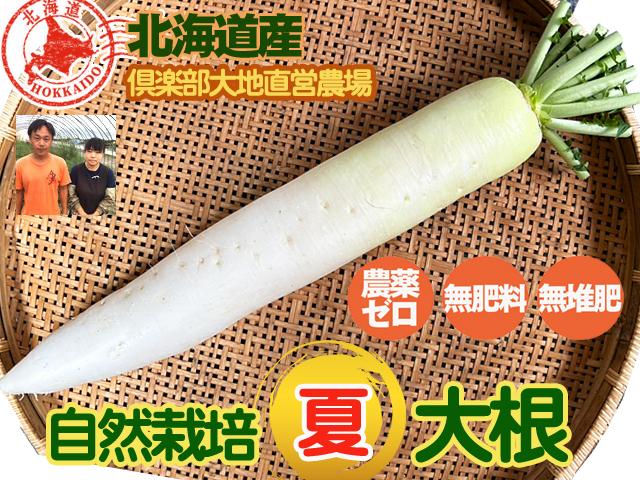 農薬不使用･無堆肥･無肥料自然栽培ミニ大根