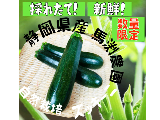 農薬不使用･無堆肥･無肥料自家採種・自然栽培ズッキーニ