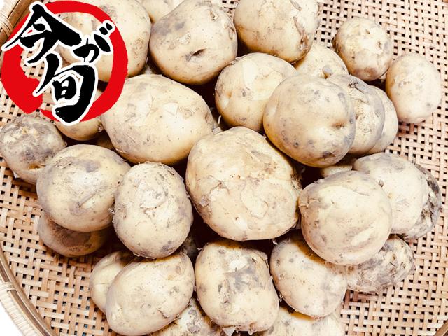 農薬不使用･無化学肥料有機質農法男爵いも
