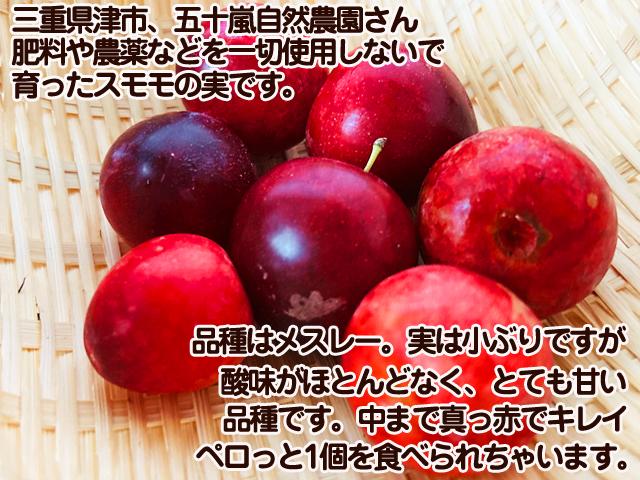 農薬不使用 すもも 3kg 鹿児島産 無農薬 すもも プラム 3kg 鹿児島県産 いぐり(すもも)3キロの