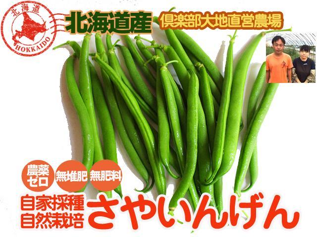 農薬不使用･無堆肥･無肥料自家採種・自然栽培さやいんげん