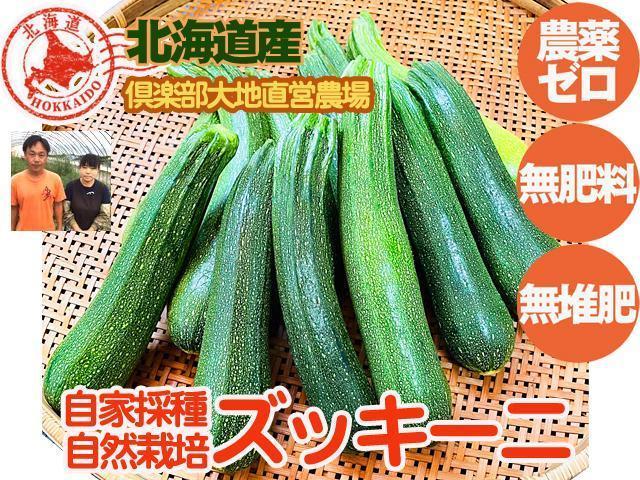 農薬不使用･無堆肥･無肥料自家採種・自然栽培ズッキーニ
