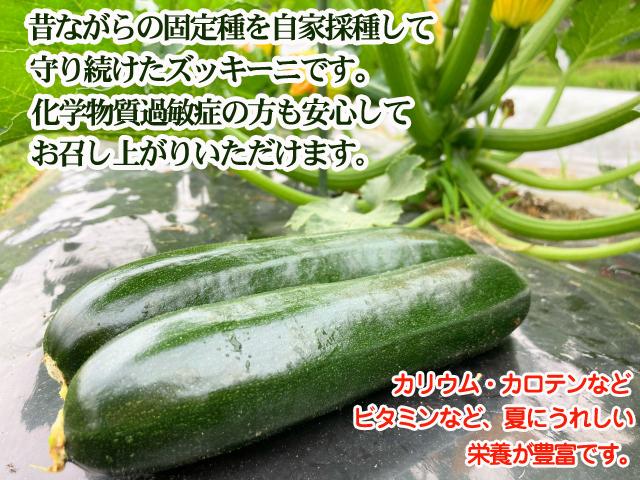自然栽培の野菜を宅配する倶楽部大地