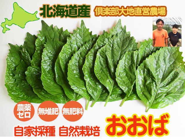 農薬不使用･無堆肥･無肥料自家採種・自然栽培大葉