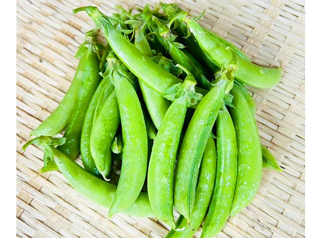 農薬不使用･無堆肥･無肥料自家採種・自然栽培スナップエンドウ