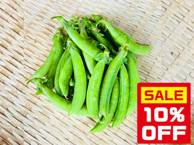 農薬不使用･無堆肥･無肥料【10%オフ】自家採種・自然栽培スナップエンドウ