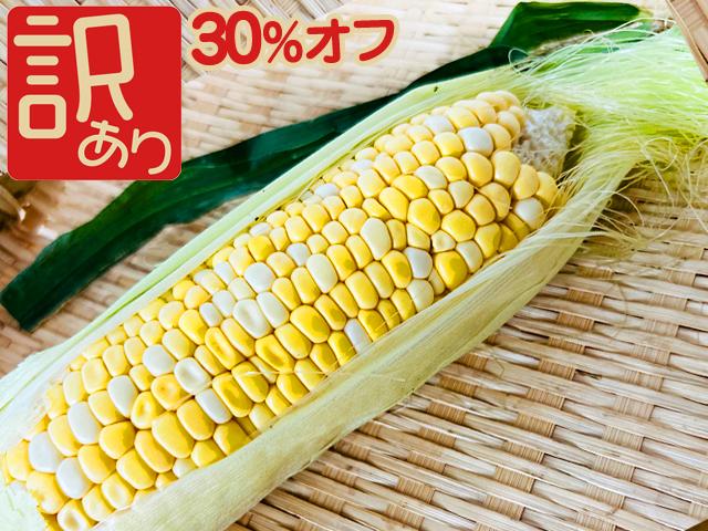 農薬不使用･無化学肥料【訳あり品】早出し有機質農法スイートコーン