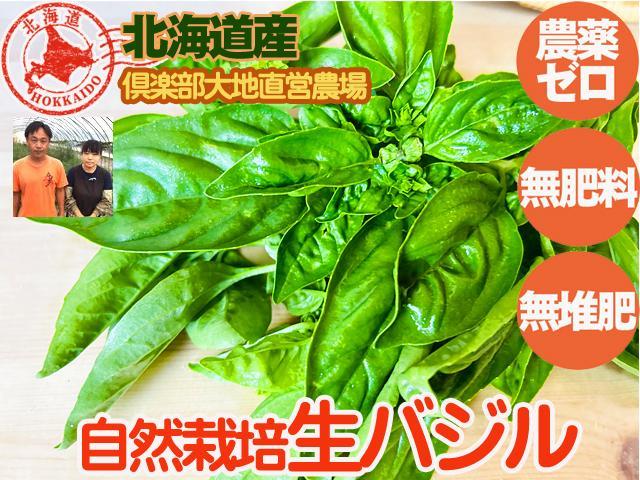 農薬不使用･無堆肥･無肥料自然栽培・固定種生バジル＜特売＞・乾燥バジル