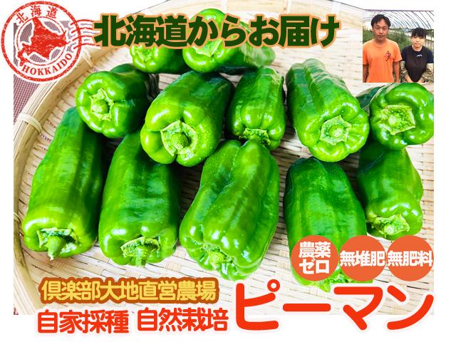 農薬不使用･無堆肥･無肥料自家採種・自然栽培ピーマン