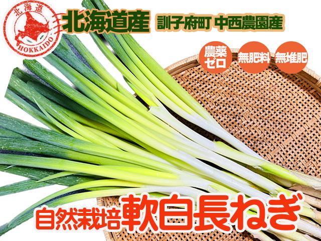 農薬不使用･無堆肥･無肥料中西さんの自然栽培軟白長ねぎ