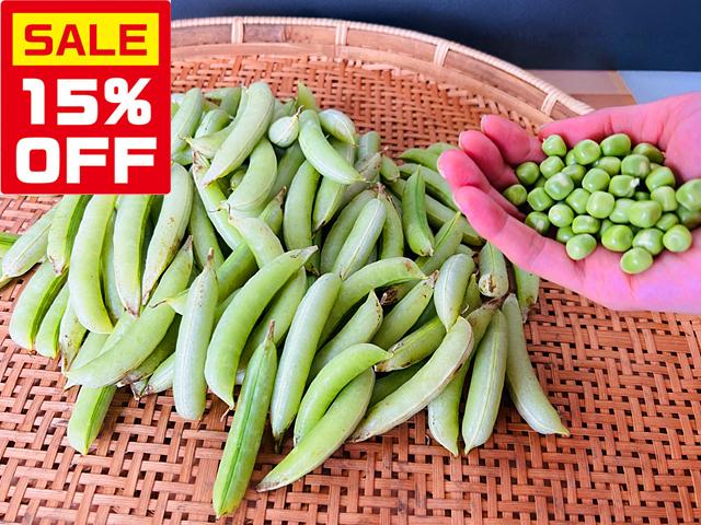 農薬不使用･無堆肥･無肥料【特売】自然栽培さや付きグリーンピース