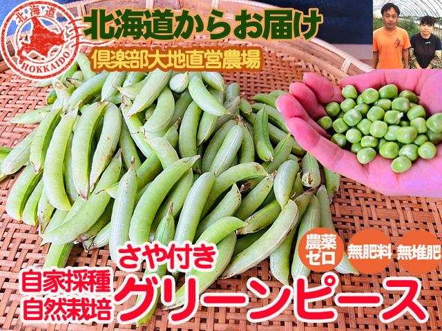 農薬不使用･無堆肥･無肥料自然栽培さや付きグリーンピース