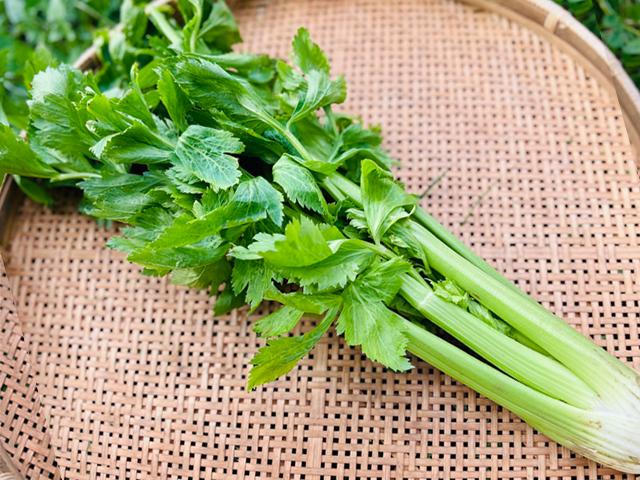 農薬不使用･無堆肥･無肥料自然栽培セロリ