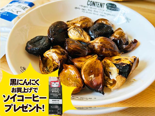 自然栽培(全20巻) 自然栽培 Vol.20 実りをもたらし、いのちを育む 「山」は、生命体