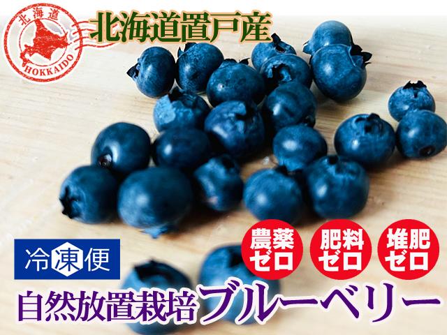 農薬不使用･無堆肥･無肥料自然放置栽培ブルーベリー（冷凍）