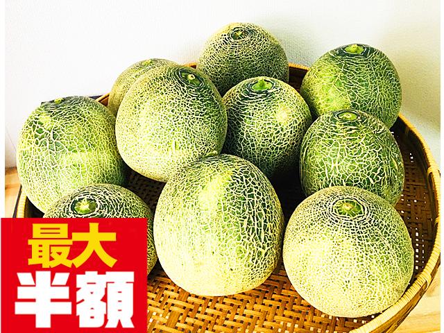 農薬不使用･無堆肥･無肥料【最大半額】訳あり自然栽培ぎんがメロン