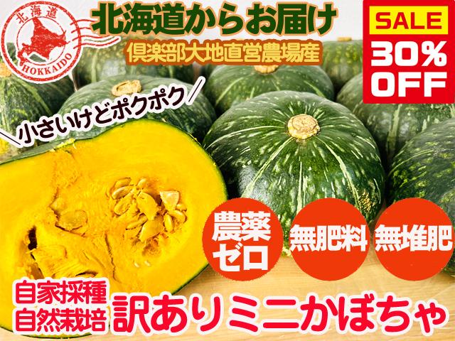 農薬不使用･無堆肥･無肥料自家採種・自然栽培ミニかぼちゃ