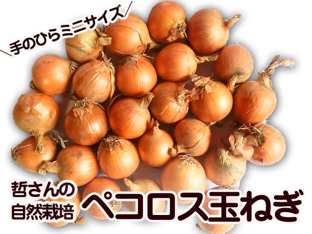 農薬不使用･無堆肥･無肥料自然栽培てつさんのペコロス玉ねぎ