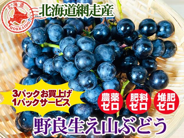 農薬不使用･無堆肥･無肥料野良生え訳あり山ぶどう