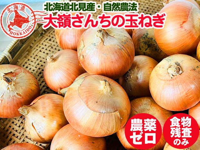 農薬不使用･無化学肥料大嶺さんちの自然農法玉ねぎ
