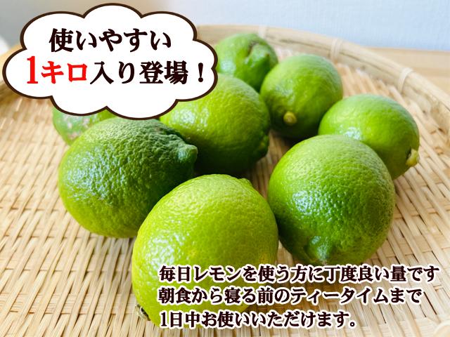 自然栽培の野菜を宅配する倶楽部大地