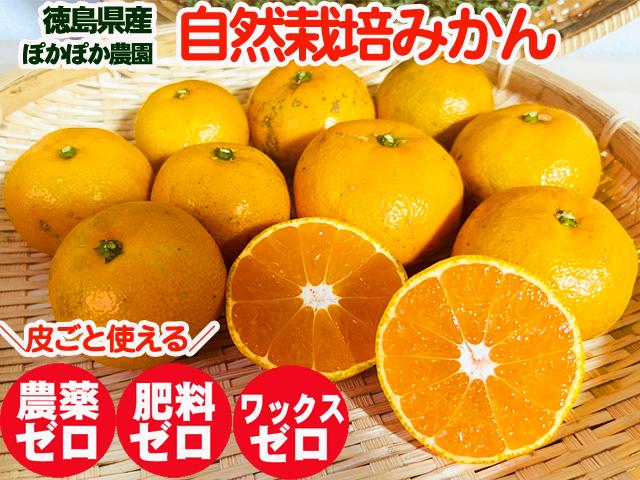 自然栽培の野菜を宅配する倶楽部大地