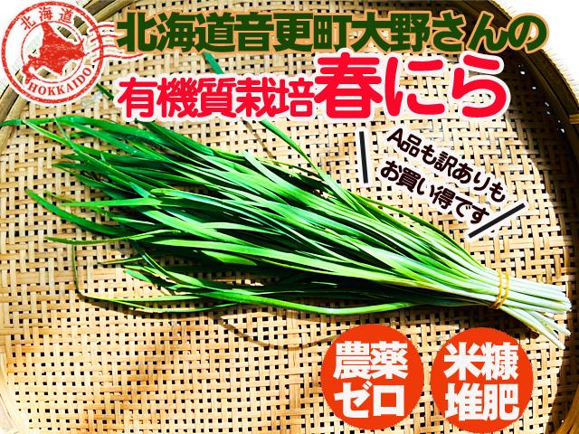 農薬不使用･無化学肥料【特売】有機質栽培大野さんの冬にら