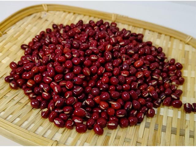 農薬不使用･無堆肥･無肥料自然栽培関根さんのあずき