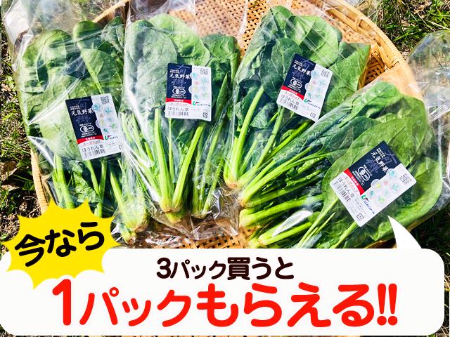 農薬不使用･無化学肥料茨城県産有機質栽培ほうれん草