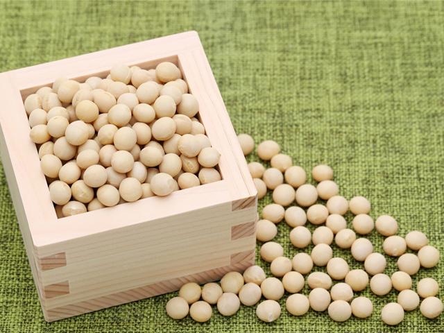 農薬不使用･無堆肥･無肥料自家採種・自然栽培原田さんの黄大豆