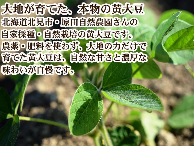 自然栽培の野菜を宅配する倶楽部大地