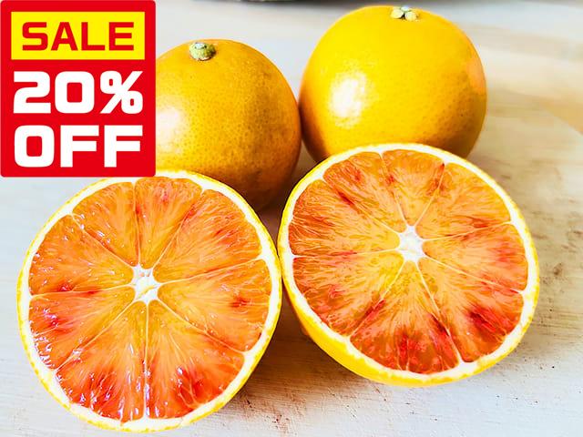 農薬不使用･無堆肥･無肥料【特売】自然栽培タロッコオレンジ