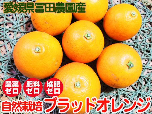農薬不使用･無堆肥･無肥料自然栽培ブラッドオレンジ