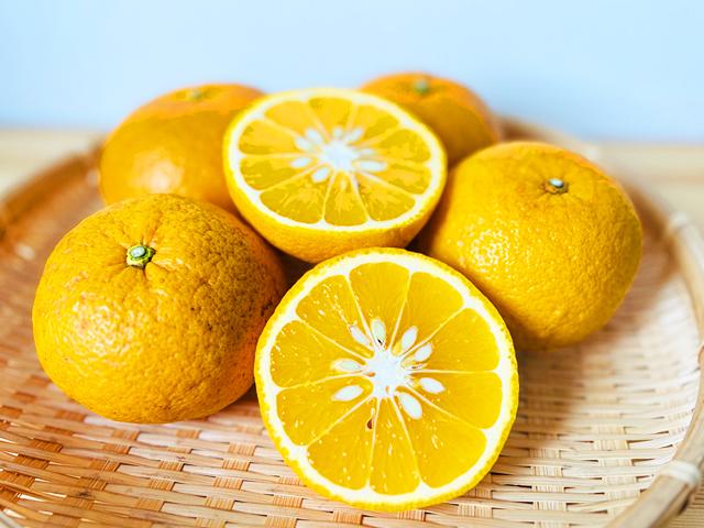 農薬不使用･無堆肥･無肥料農薬も肥料も使用しない自然栽培で育てた愛媛産の甘夏柑