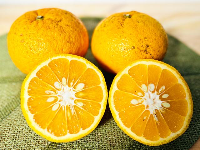 農薬不使用･無堆肥･無肥料農薬も肥料も使用しない自然栽培で育てた愛媛産の甘夏柑