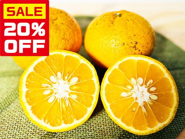 農薬不使用･無堆肥･無肥料【特売】自然栽培で育てた愛媛産の甘夏柑