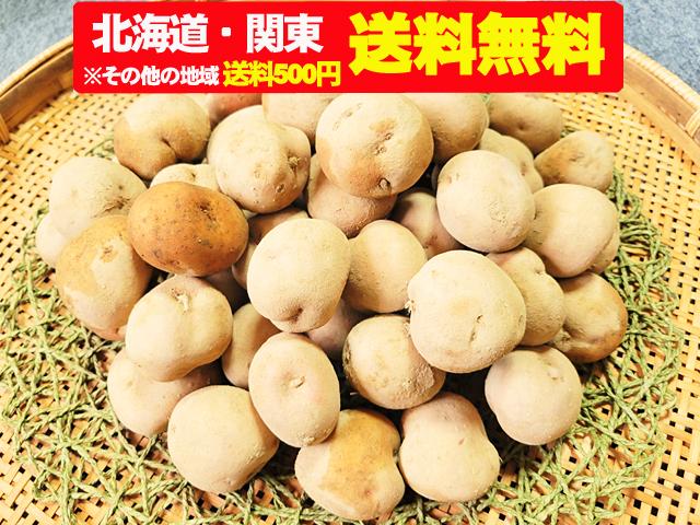 農薬不使用･無堆肥･無肥料自然栽培・自家採種じゃがいも「はなしべつ」5kg・10kg（北海道・関東送料無料）