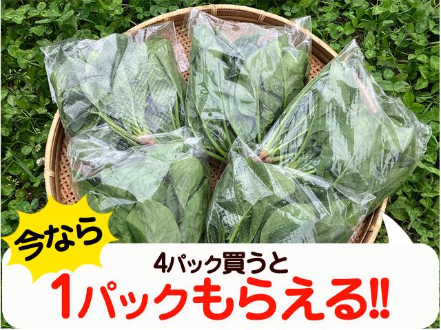 農薬不使用･無堆肥･無肥料自然栽培在来種ほうれん草