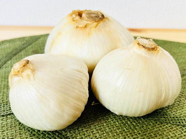 農薬不使用･無堆肥･無肥料自然栽培ジャンボにんにく