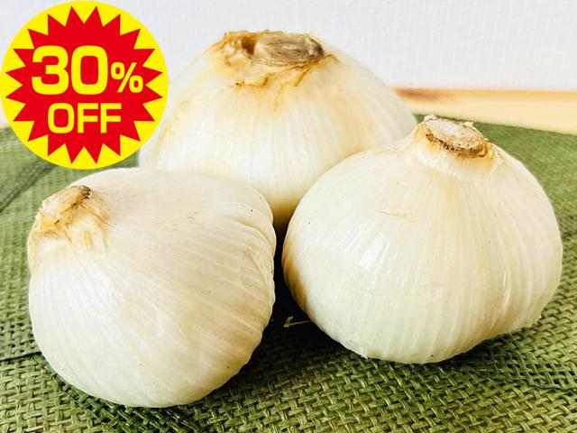 農薬不使用･無堆肥･無肥料【特売】自然栽培ジャンボにんにく