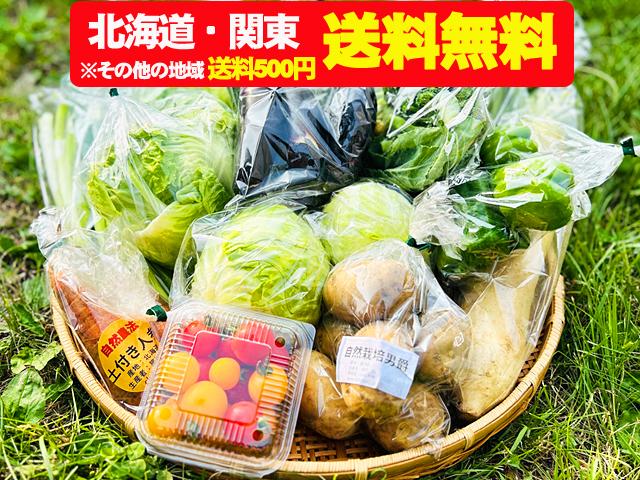 農薬不使用･無化学肥料朝霧の野菜セット(北海道・関東送料無料）