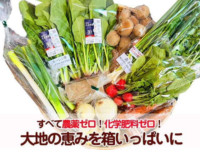 北海道☆お野菜屋さん 自然栽培の野菜を宅配する倶楽部大地