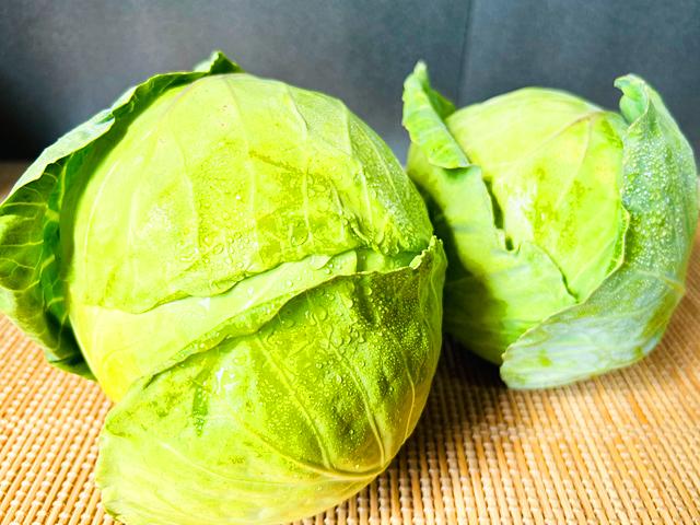 農薬不使用･無堆肥･無肥料自然栽培キャベツ（アーリー）