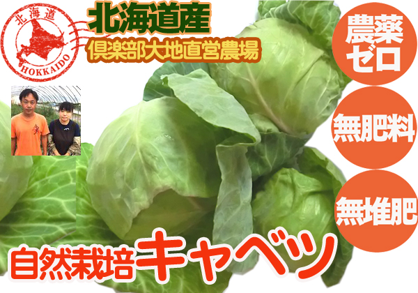 野菜ページ ベジチャージ 12種類の野菜【45g:約180粒】｜nacona(ナコナ