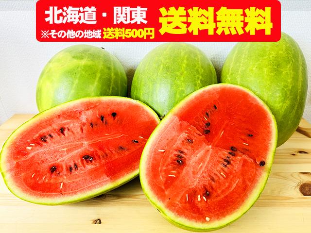 農薬不使用･無堆肥･無肥料よっちゃんの夢枕すいか5kg・9kg（北海道・関東送料無料）