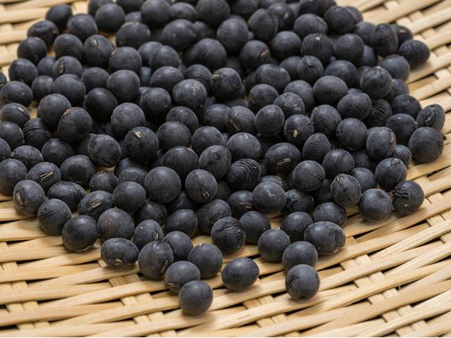 農薬不使用･無堆肥･無肥料自然栽培てっちゃんの黒大豆